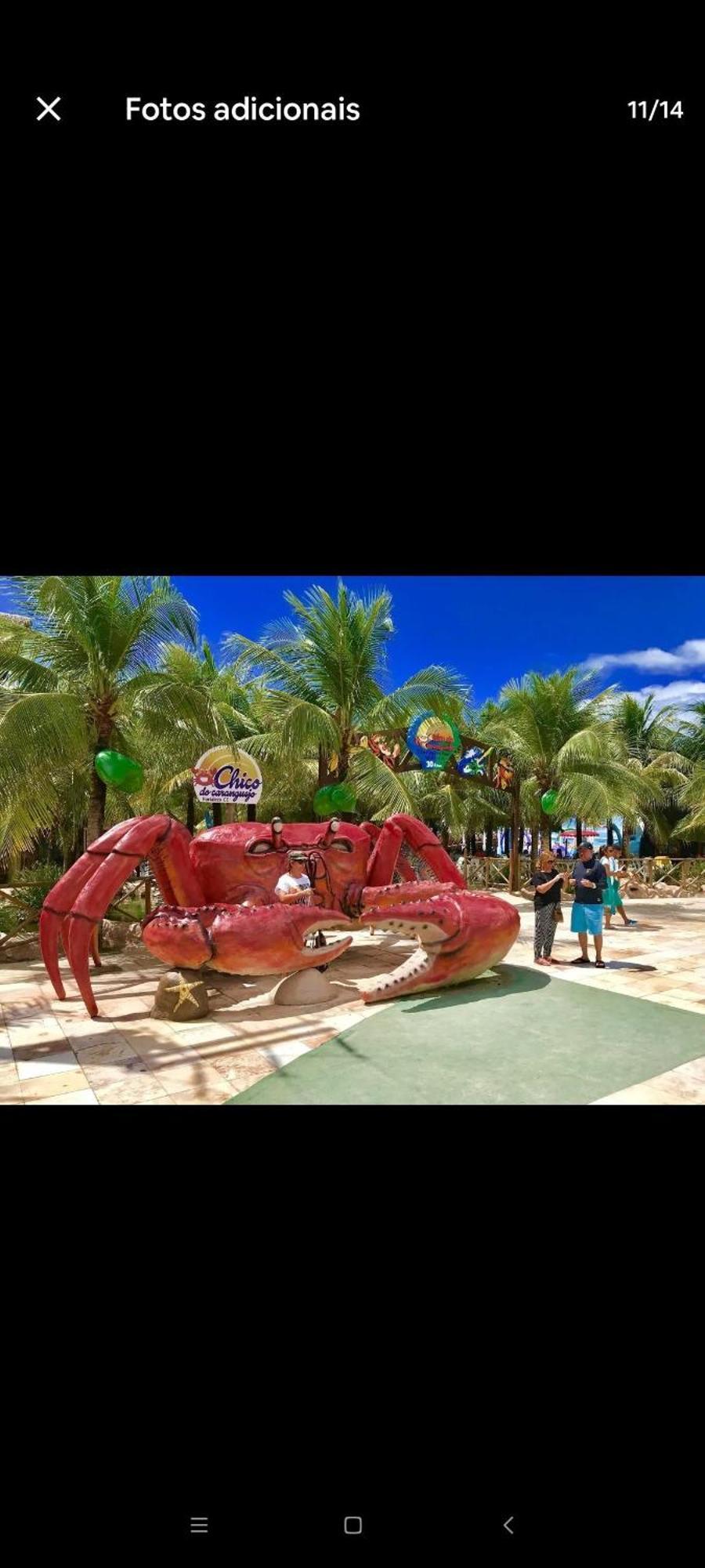 Apartamento Ap Novo Na Do Futuro *